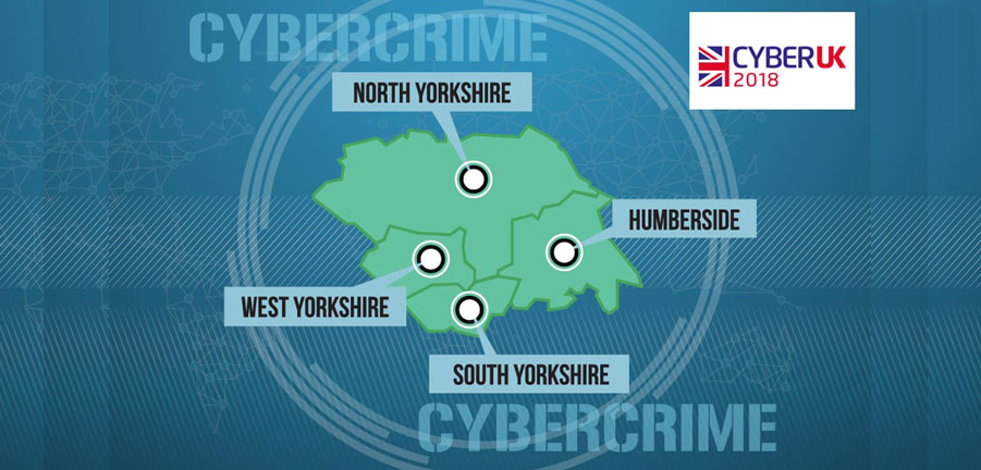 Cyber and the North