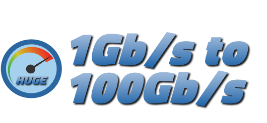 Connection speeds from 1Gb/s to 100Gb/s, or faster